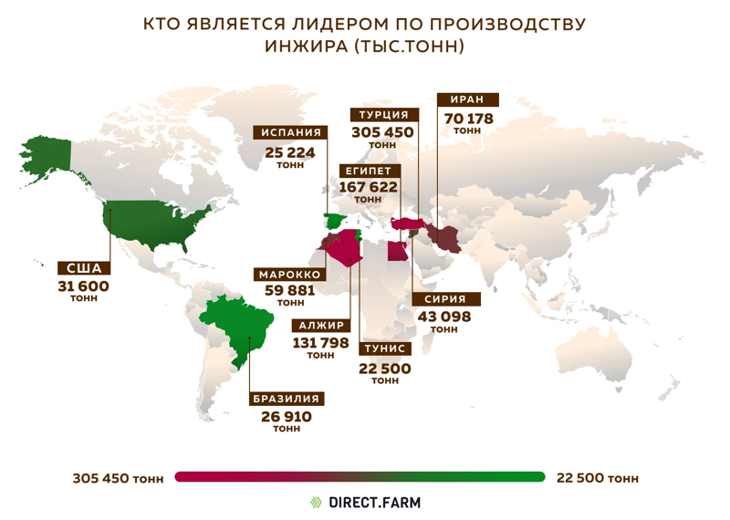 Страны-лидеры по производству инжира