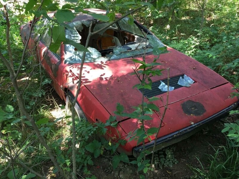  Печальное зрелище: Ferrari Dino 308 GT4, брошенный гнить в лесу