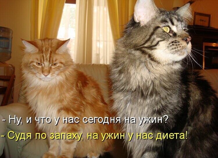 Кискоюмор