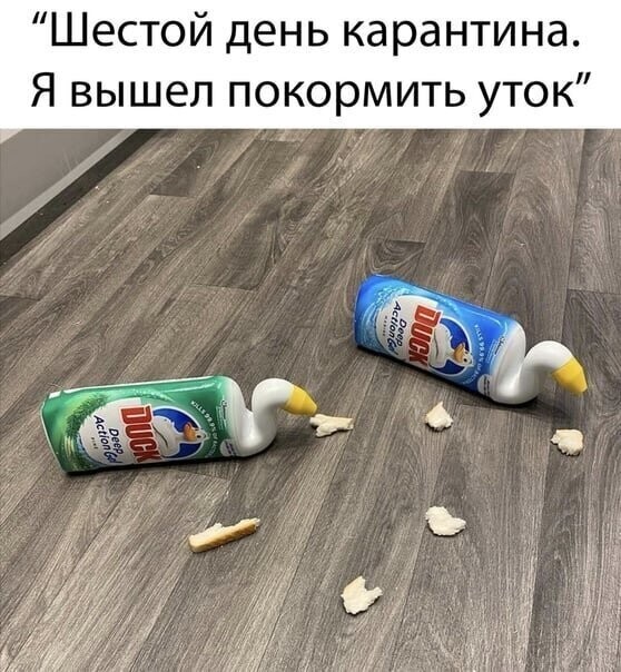 Смешные картинки