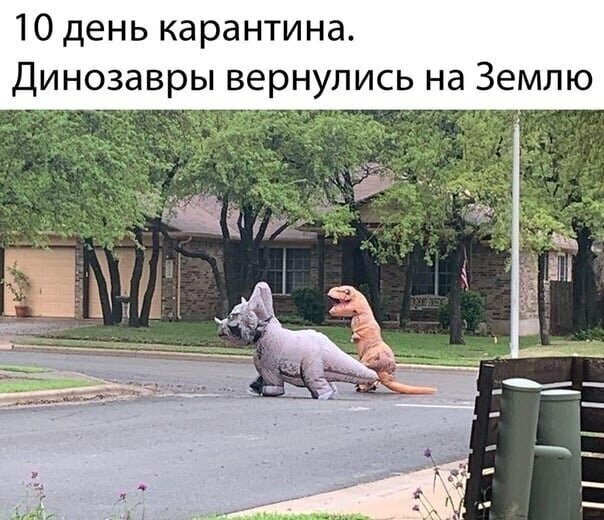 Смешные картинки