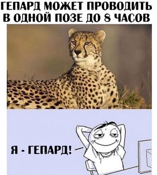 Смешные картинки