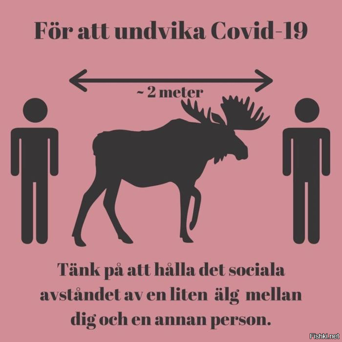 В Швеции рекомендуют держать дистанцию размером с ″небольшого лося″