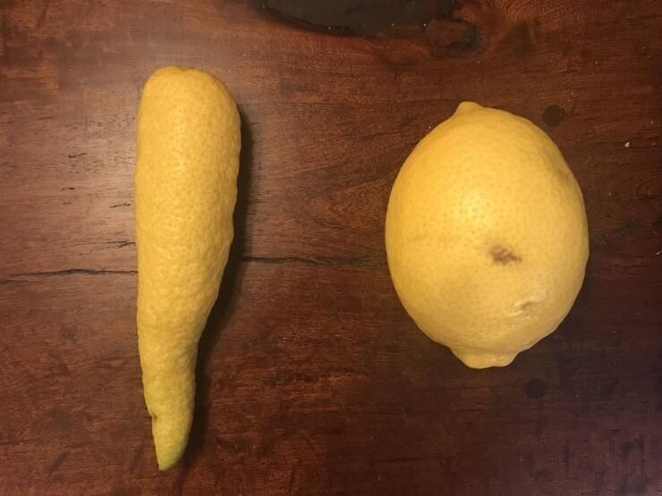 Лимон необычной формы