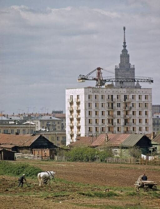 Деревня Семеновское на фоне новостроек на улице Архитектора Власова, 1965 год.
