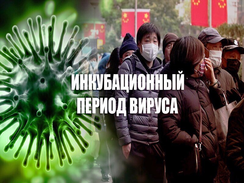 Опасная иллюзия! "Куриный бульон" от коронавируса