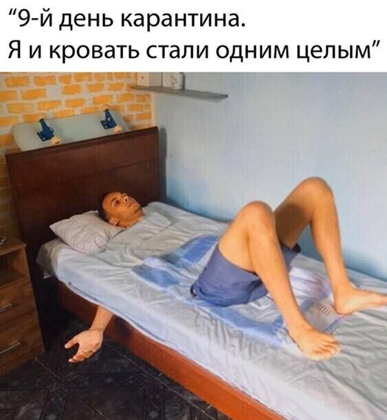 Прикольные и смешные картинки