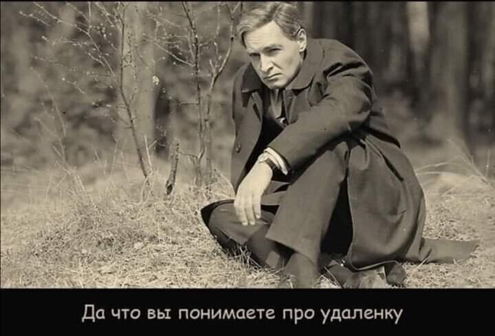 Политические комментарии из инета