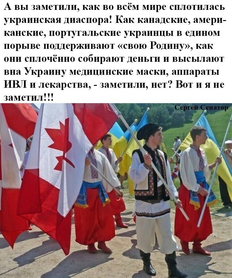Политические комментарии из инета