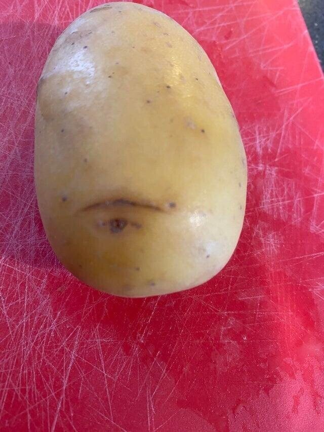 "У картошки, которую я взял, чтобы приготовить, есть глазок, похожий на настоящий глаз"