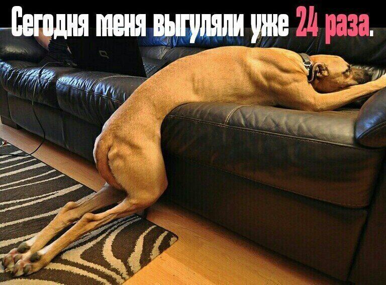 Политические комментарии