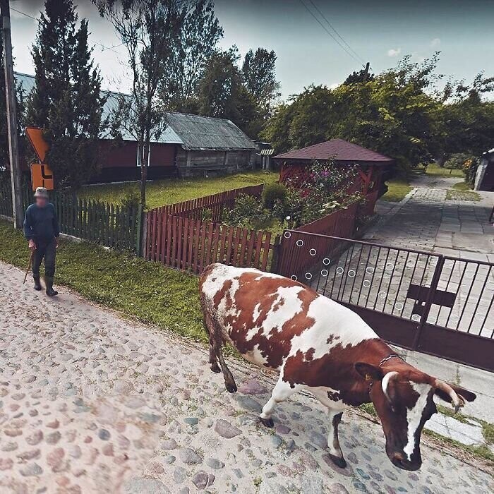 Жизнь Польши в Google Street View