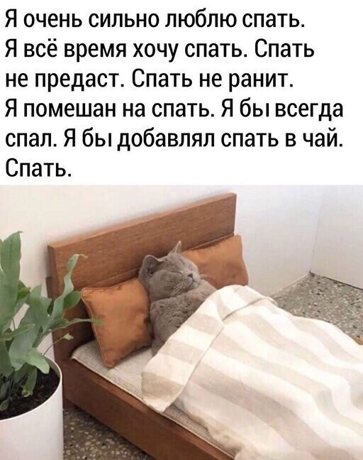 Прикольные и смешные картинки