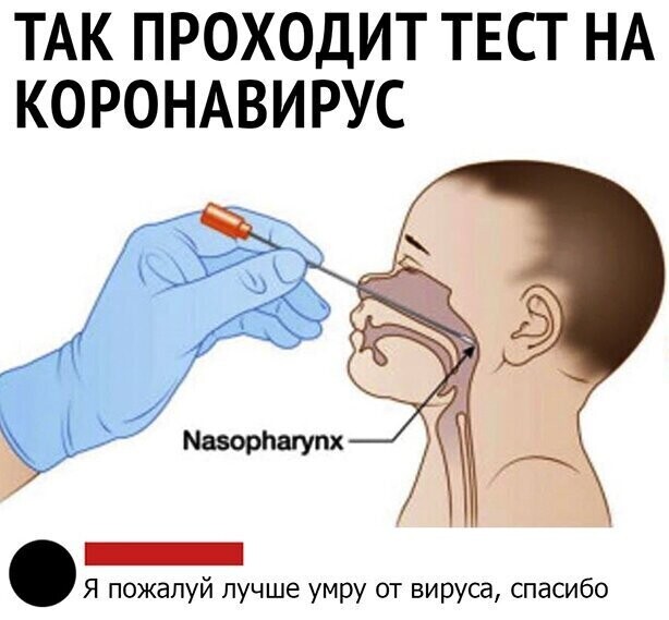 Прикольные и смешные картинки