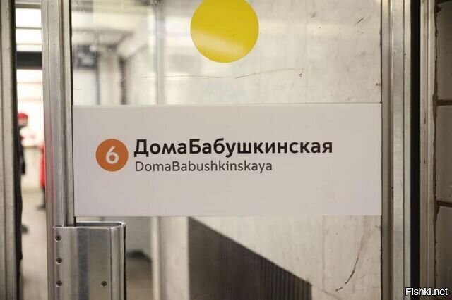 На двух станциях Московского метрополитена — «Домодедовской» и «Бабушкинской»...