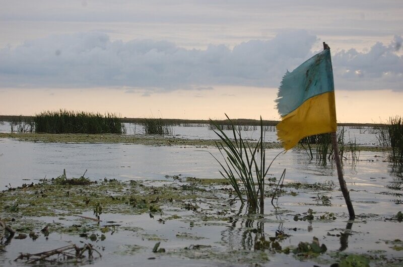 Под «шумок» коронавируса на Украине принят закон о продаже земли