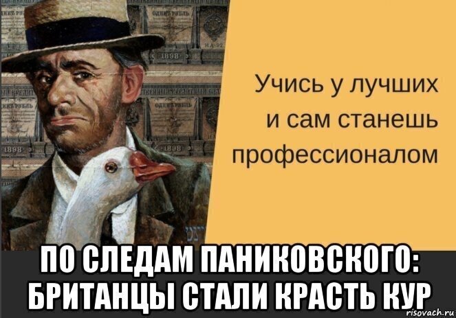 В магазинах Великобритании отмечается нехватка яиц. Из-за этого местные жители начали красть птицу на фермах,