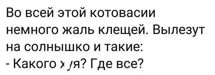 Политические комментарии 2