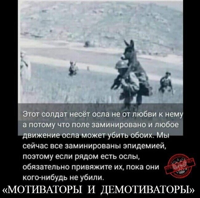 Политические комментарии