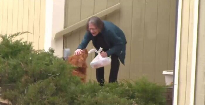 Собака помогает пенсионерке на карантине покупать продукты