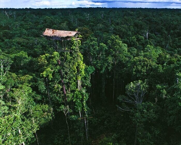 Экстремальный домик на дереве Ириан-Джая, Индонезия 