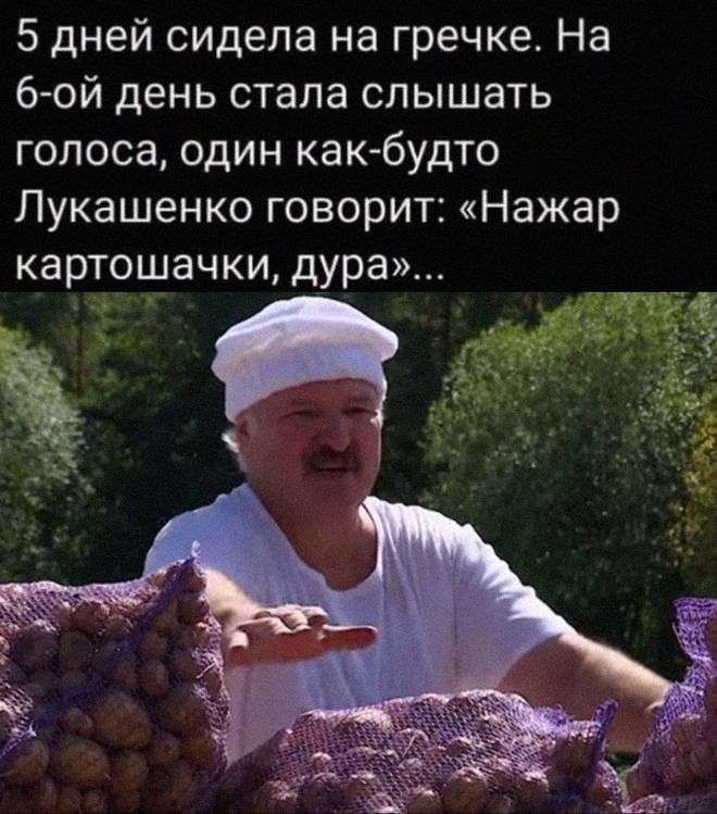 Слуги народа в мемах и фактах