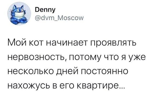 Прикольные и смешные картинки