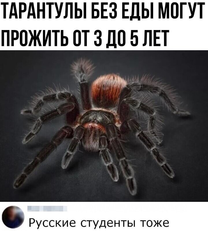 Смешные картинки