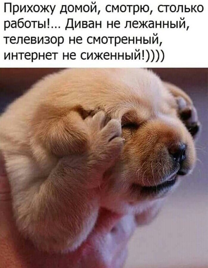 Смешные картинки