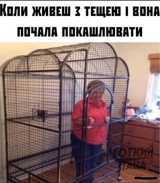 Смешные картинки