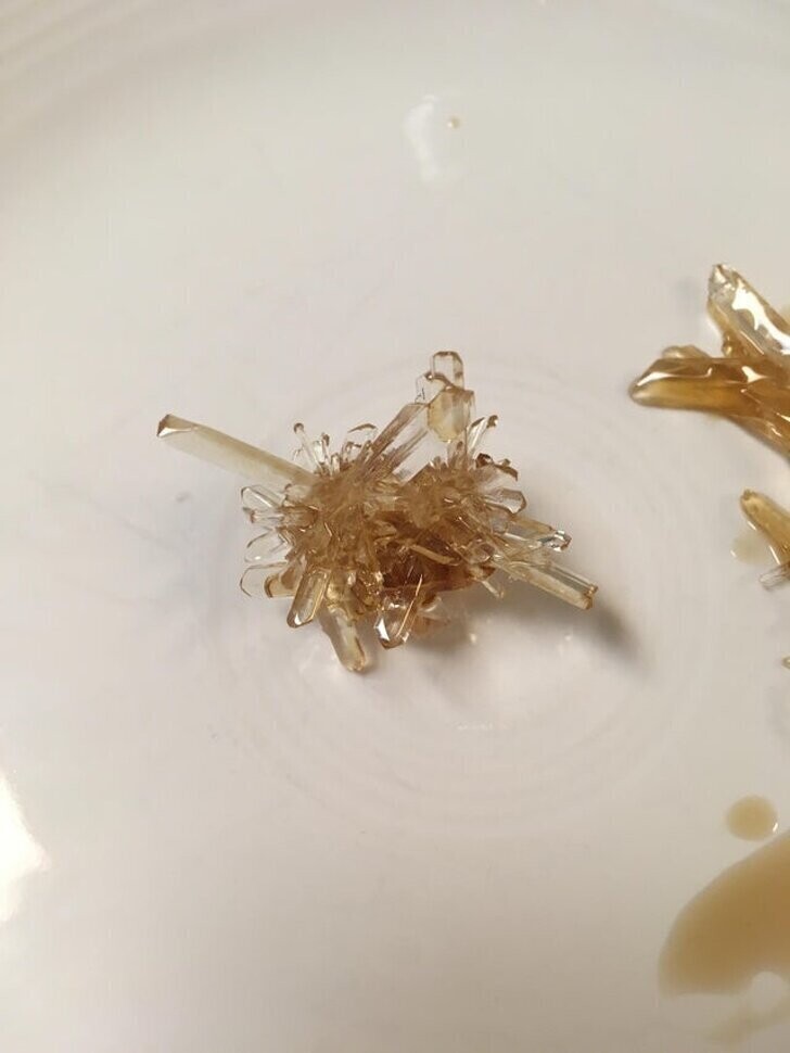 Вот что бывает, если надолго оставить кленовый сироп. В нем образуются вот такие причудливые кристаллы сахара!