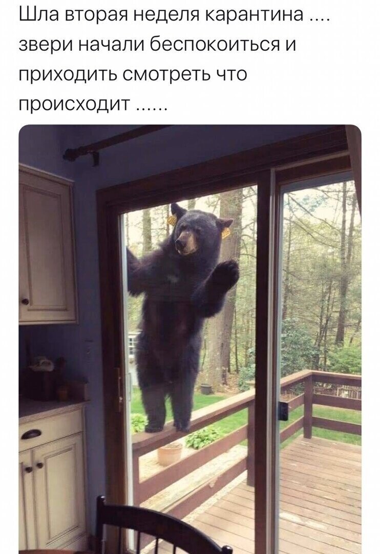 Политические комментарии 2