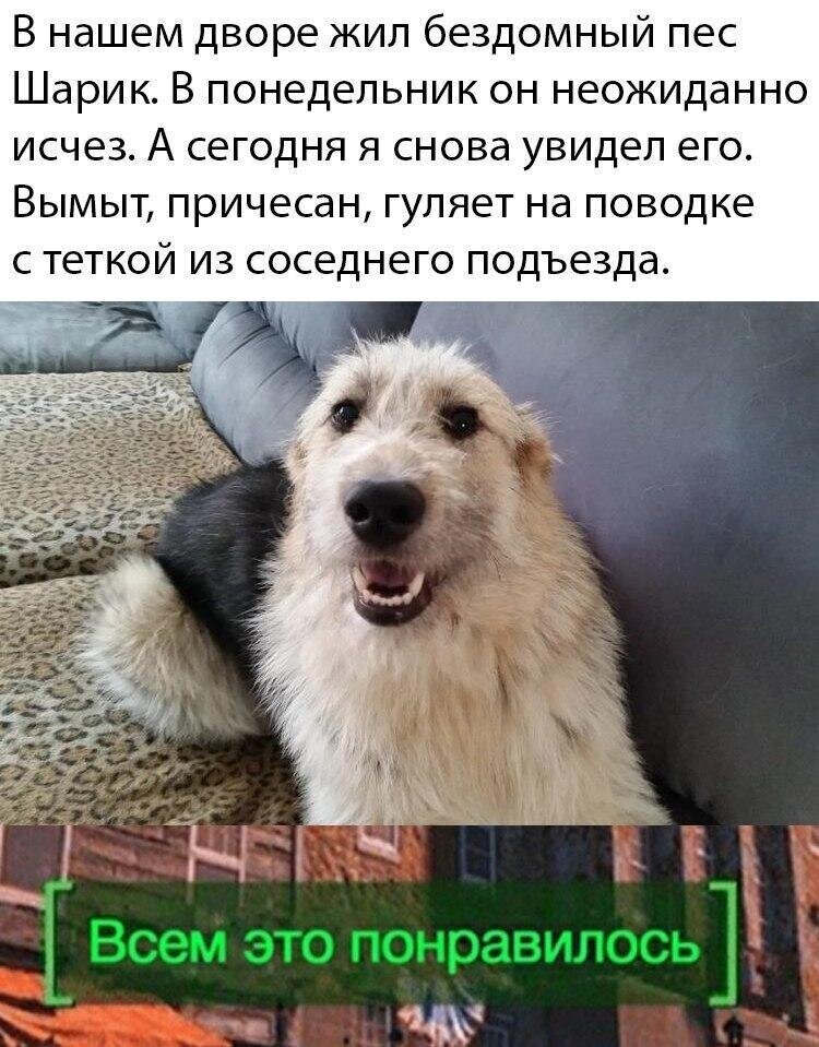 Хохотальня