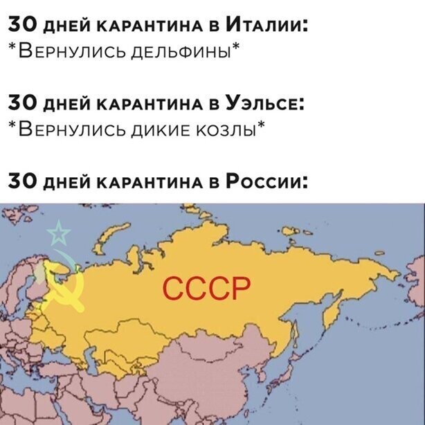 Прикольные и смешные картинки