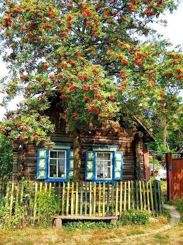 Деревянный домик или хата-мазанка - какая у вашей бабушки?