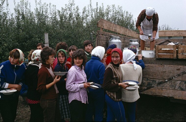 Студенты на полях, возле города Сороки. 1988 год.