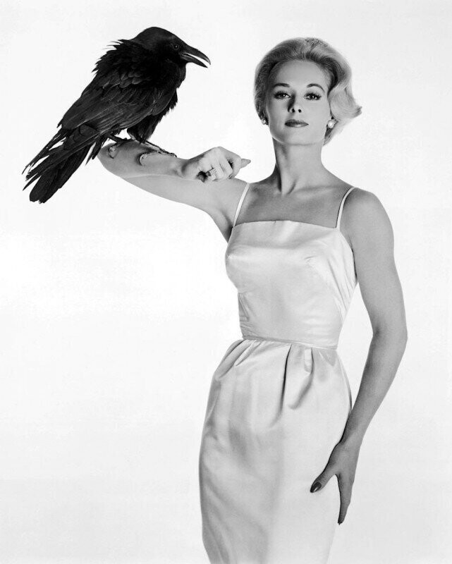 Типпи Хедрен в рекламе фильма Альфреда Хичкока "Птицы". 1963