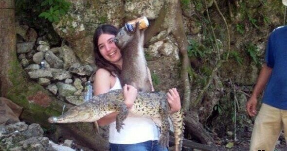 Просто девушка держит крокодила, на котором стоит суслик, который пьёт газировку