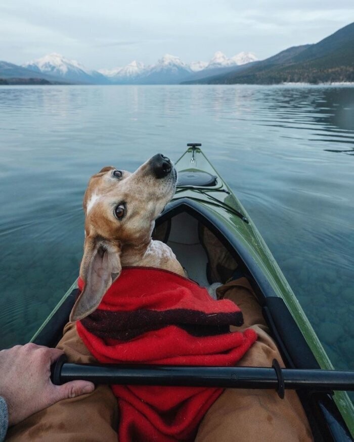 Самые лучшие путешествия - с собакой