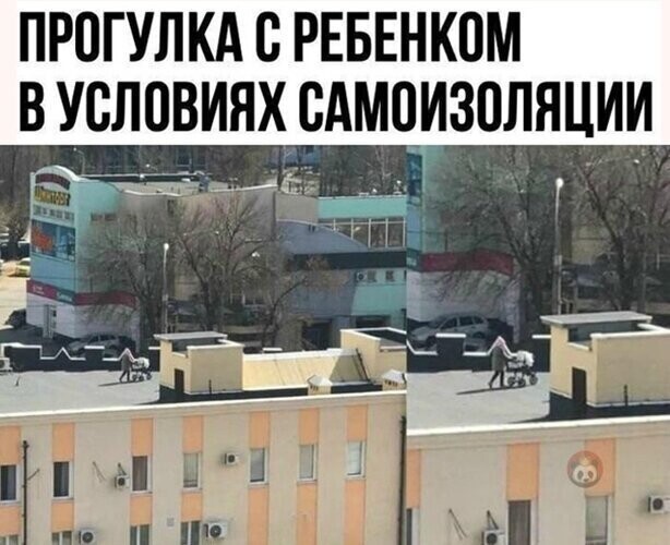 Прикольные и смешные картинки