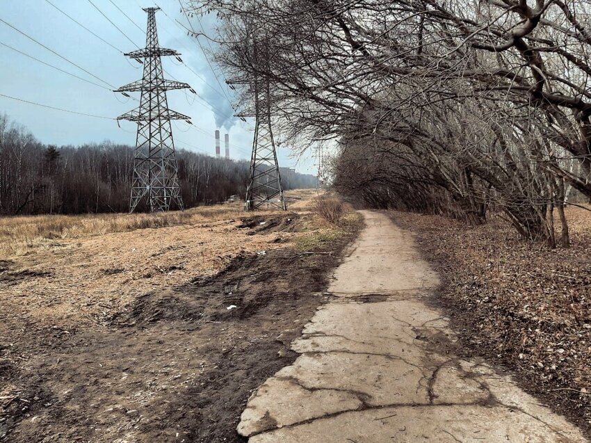 Лосиная тропа где. Лосиный остров Дендрарий Босоногая тропа. Пешая тропа Лосиный остров. Лосиный остров Москва тропа. Балашиха Лосиный остров Босоногая тропа.