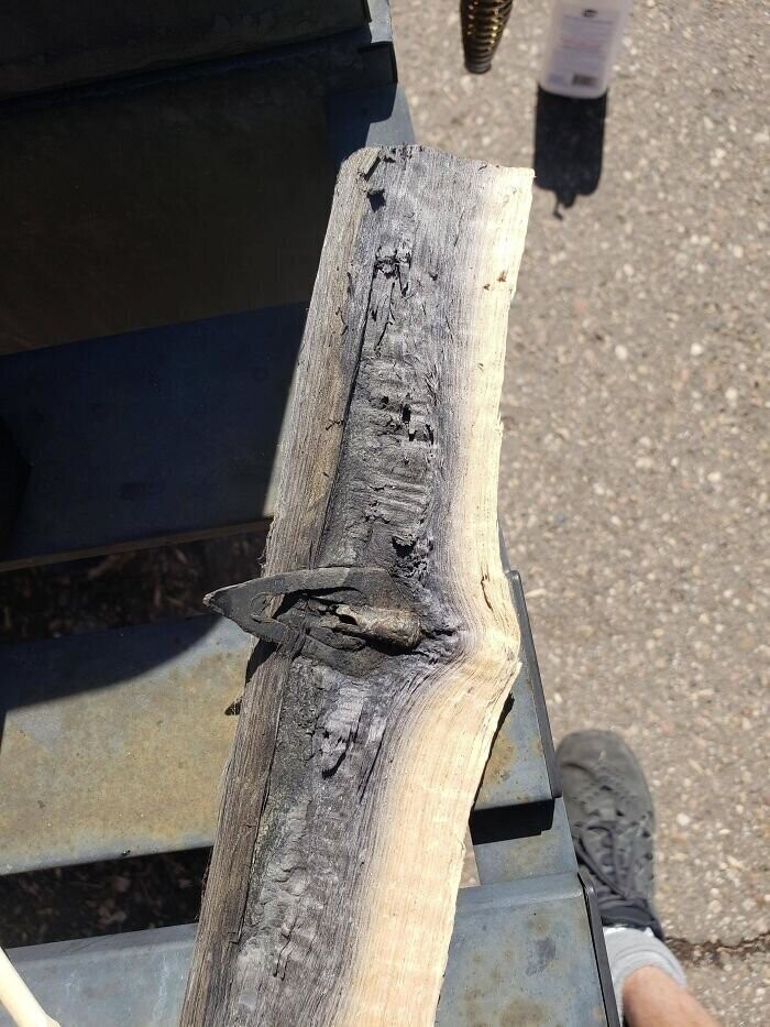 13. "Мой друг колол дрова и нашел наконечник копья"