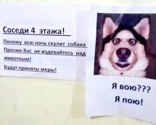 Всё в разнобой