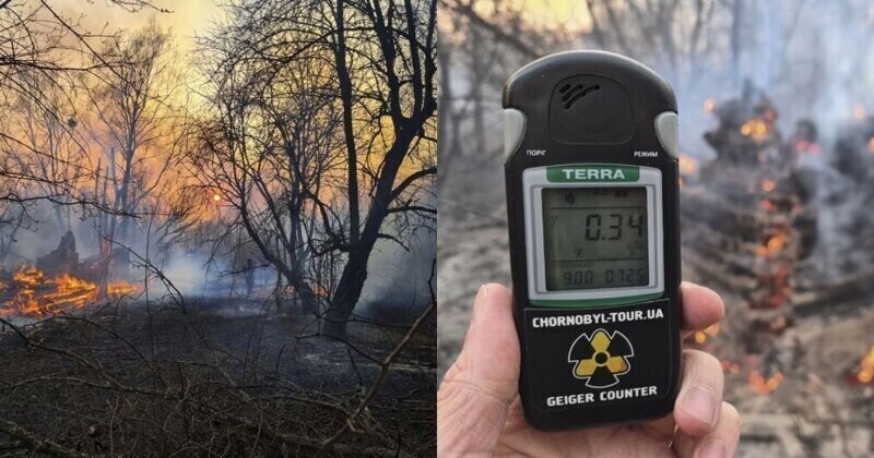 В зоне отчуждения в Чернобыле тушат сильный пожар - радиационный фон превышает норму