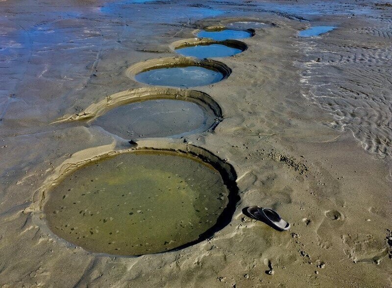 Такие кратеры остаются после добычи моллюсков