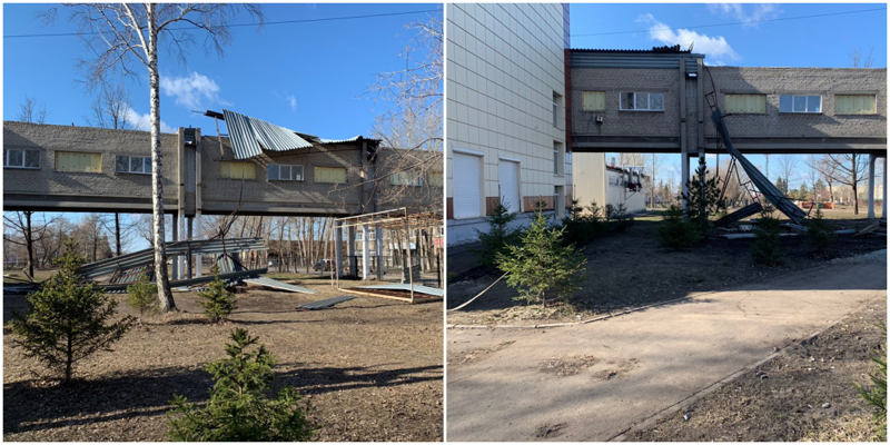Сильный ветер в Омске сносил крыши с домов и вырывал деревья с корнем