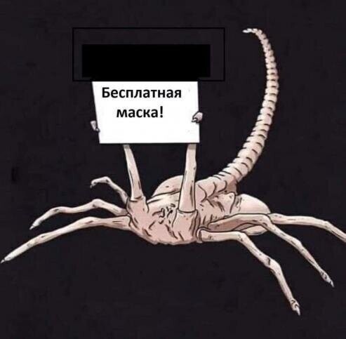 Политические комментарии из инета