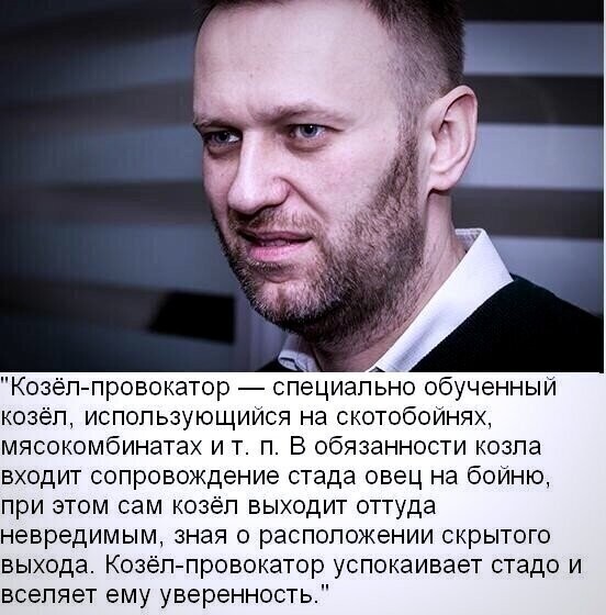 Политические комментарии из инета