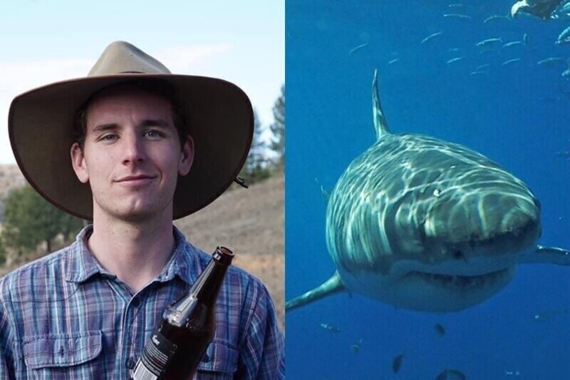 23-летний парень стал смотрителем дикой природы, но уже через неделю попал в пасть акулы