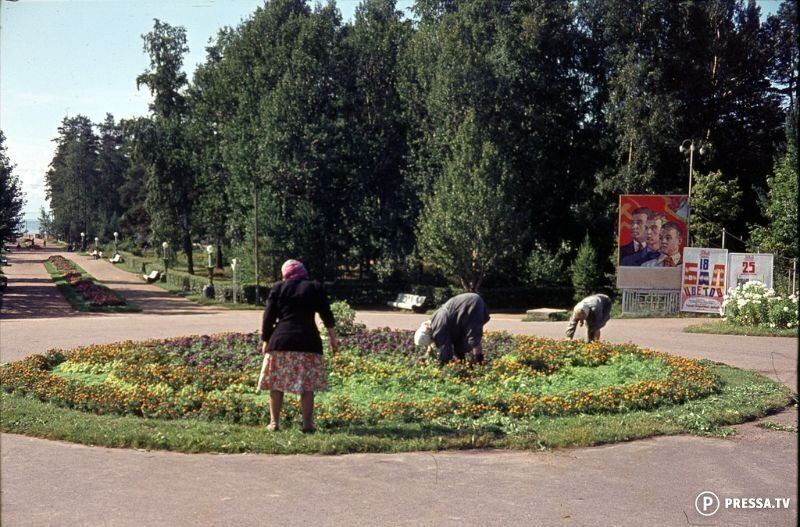 Парк в Зеленогорске под Ленинградом, 1963 г.